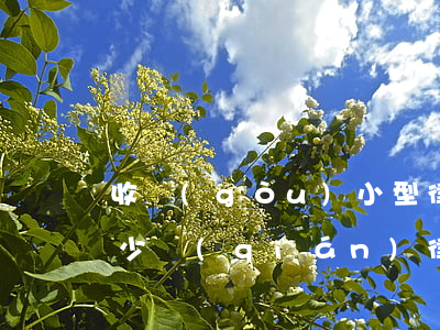 收購(gòu)小型律師事務(wù)所多少錢(qián)(律師事務(wù)所利潤(rùn))