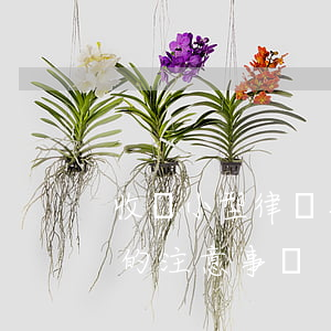 收購小型律師事務所多少錢(收購律師事務所的注意事項)