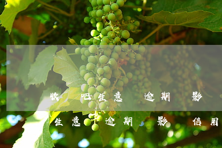 收錢吧生意貸逾期會影響信用卡么-收錢吧生意貸逾期會影響信用卡么嗎