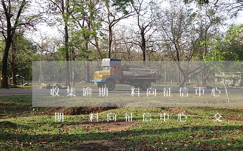 收集逾期資料向征信中心遞交審核-收集逾期資料向征信中心遞交審核需要多久