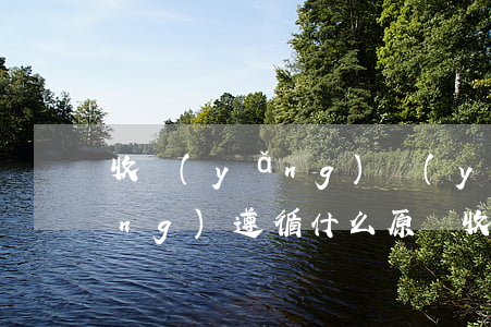 收養(yǎng)應(yīng)當(dāng)遵循什么原則(收養(yǎng)收養(yǎng)應(yīng)當(dāng)遵循什么原則)
