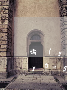 收養(yǎng)應當遵循什么原則(收養(yǎng)應當遵循什么原則?() 請選擇: A.有利)