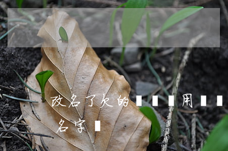 改名了欠的網貸還用還嗎(有網貸欠款可以改名字嗎)