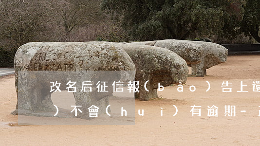 改名后征信報(bào)告上還會(huì)不會(huì)有逾期-改名后征信報(bào)告上還會(huì)不會(huì)有逾期記錄