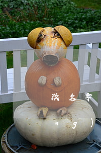 改名字申請(qǐng)(改名字申請(qǐng)書(shū)理由)