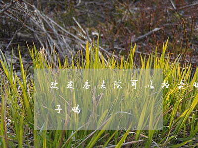 改建房法院可以拍卖吗(法院可以直接拍卖房子吗)