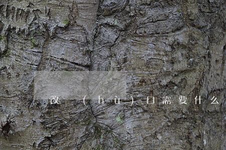 改戶(hù)口需要什么手續(xù)