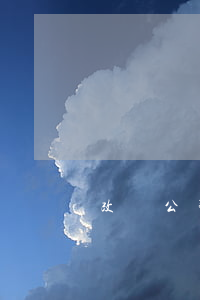 改組公司債券是什么,如何發(fā)行的