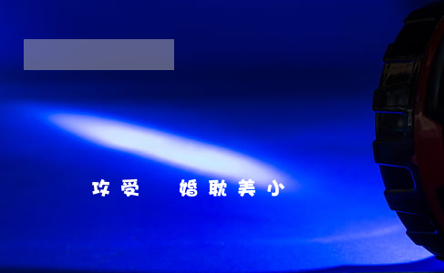 攻受離婚耽美小說