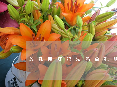 放孔明灯犯法吗(放孔明灯犯法吗四川)