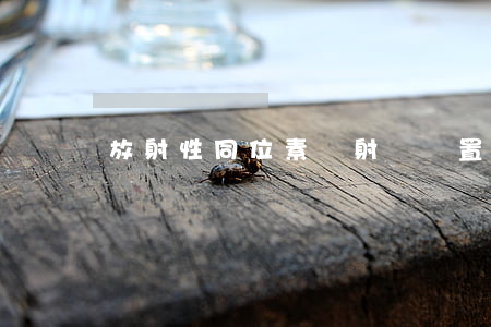 放射性同位素與射線裝置安全和防護條例