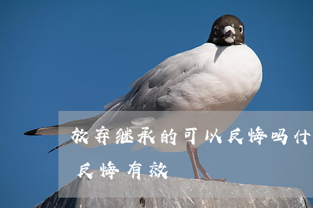 放弃继承的可以反悔吗(什么情况下放弃继承反悔有效)