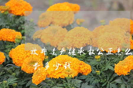 放弃遗产继承权公正怎么收费(放弃继承公正费多少钱?)