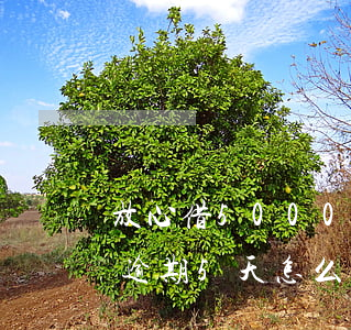 放心借5000塊逾期兩天多少錢-放心借逾期5天怎么辦