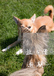 放心借一萬(wàn)五逾期半年-放心借逾期一個(gè)星期