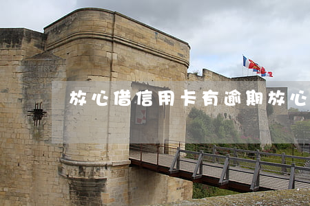 放心借信用卡有逾期(放心借逾期費用高嗎)