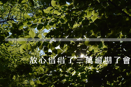 放心借借了三萬逾期了會起訴嗎