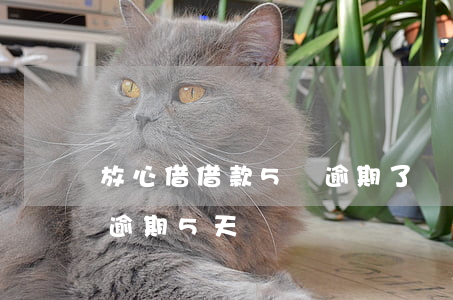 放心借借款5萬逾期了會被起訴嗎-放心借逾期5天