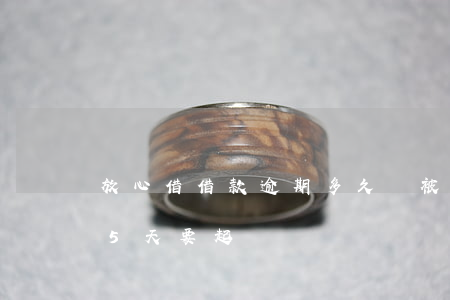 放心借借款逾期多久會被起訴(放心借逾期45天要起訴)
