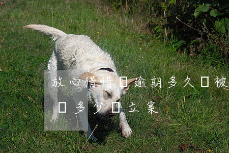 放心借借錢逾期多久會被起訴(放心借逾期起訴多少會立案)