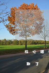 放心借多少時間算逾期(放心借多少時間算逾期了)