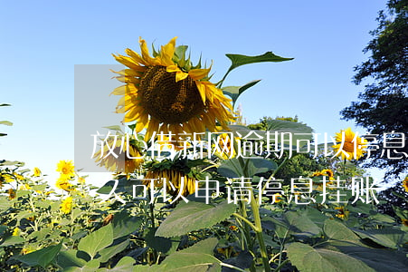 放心借新网逾期可以停息挂账吗(网贷逾期多久可以申请停息挂账)