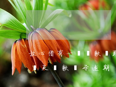 放心借有一筆還款處理中導致逾期-放心借當天還款顯示逾期