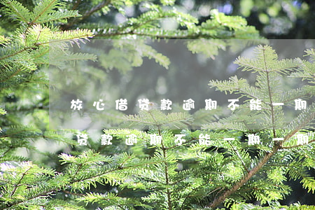 放心借贷款逾期不能一期一期还吗-放心借贷款逾期不能一期一期还吗怎么办