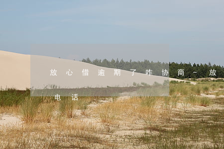 放心借逾期了咋协商-放心借逾期了咋协商电话