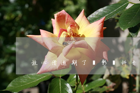 放心借逾期了會影響抖音號嗎(抖音借錢逾期)