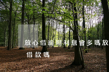 放心借逾期利息會多嗎(放心借有逾期還可以借款嗎)