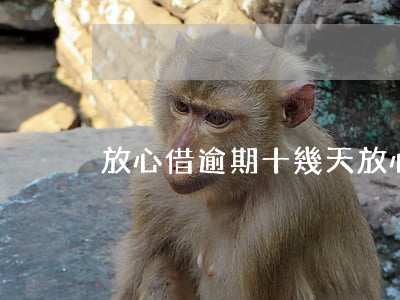 放心借逾期十幾天（放心借逾期會立案嗎）