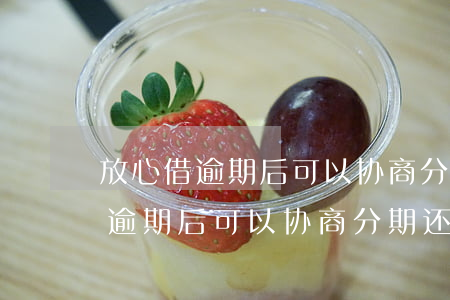 放心借逾期后可以协商分期还款吗-放心借逾期后可以协商分期还款吗