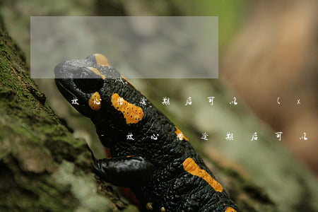 放心借逾期后可以協(xié)商分期還款嗎-放心借逾期后可以協(xié)商分期還款嗎