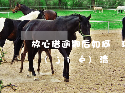 放心借逾期后如何處理-放心借逾期會一次結(jié)清嗎