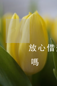 放心借逾期多久可以起訴(放心借逾期會起訴嗎)