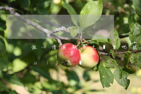 放心借逾期多久沒事吧 放心借逾期了會(huì)怎樣