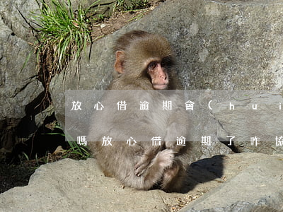 放心借逾期會(huì)發(fā)律師函嗎(放心借逾期了咋協(xié)商)