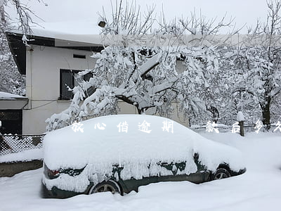 放心借逾期還款后多久才能再借-