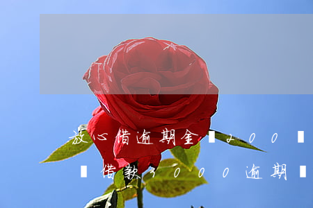 放心借逾期金額200會(huì)被起訴嗎(借款3000逾期會(huì)起訴)