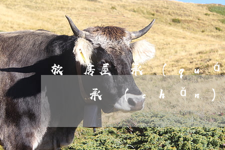 放棄房屋繼承權(quán)聲明怎么寫(放棄繼承產(chǎn)權(quán)聲明書怎么寫)
