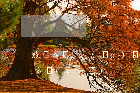 放棄房產(chǎn)繼承書(shū)怎么寫(xiě)