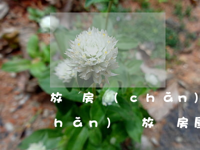 放棄房產(chǎn)繼承算婚后財產(chǎn)嗎(放棄房屋繼承權(quán))