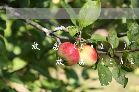 放棄房產(chǎn)繼承續(xù)辦公證嗎(放棄房產(chǎn)繼承續(xù)辦公證嗎)