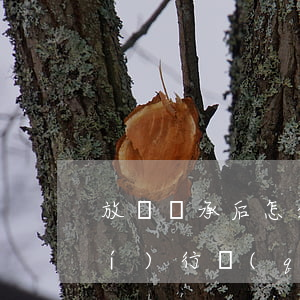 放棄繼承后怎么申請(qǐng)執(zhí)行(強(qiáng)制執(zhí)行階段繼承人放棄繼承)