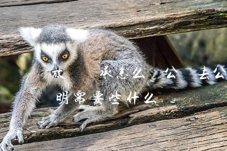 放棄繼承怎么辦公證(去公證處開放棄繼承證明需要些什么)