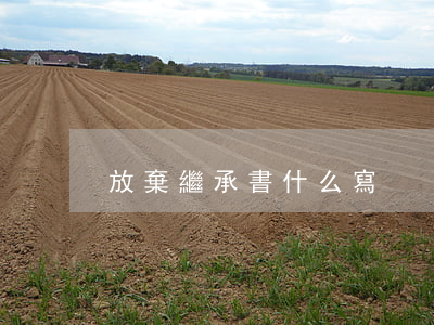 放棄繼承書什么寫