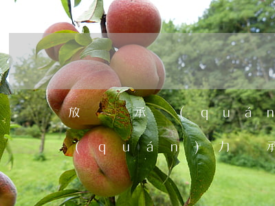 放棄繼承權(quán)同時放棄了什么權(quán)力(繼承權(quán)的放棄)