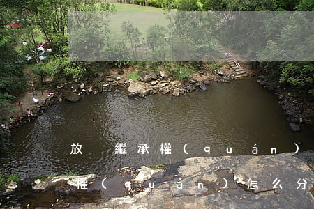 放棄繼承權(quán)怎么分配(放棄繼承權(quán)怎么分配)