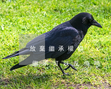 放棄繼承權協(xié)議可以反悔嗎(放棄繼承可以反悔嗎?)